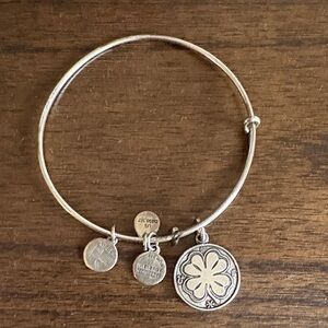 Alex and Ani Silver Charm Bracelet